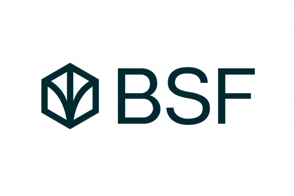 BSF